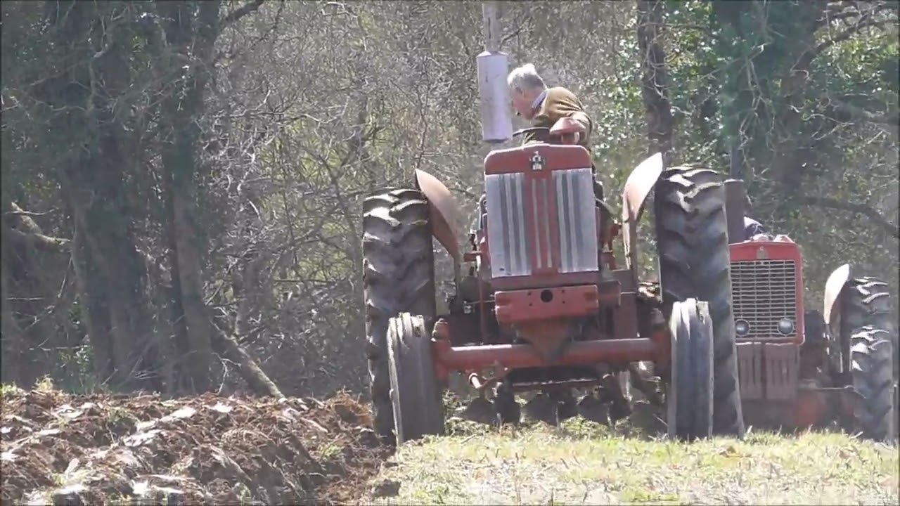 International Harvester Club of Great Britain Working Day April 3, 2022
