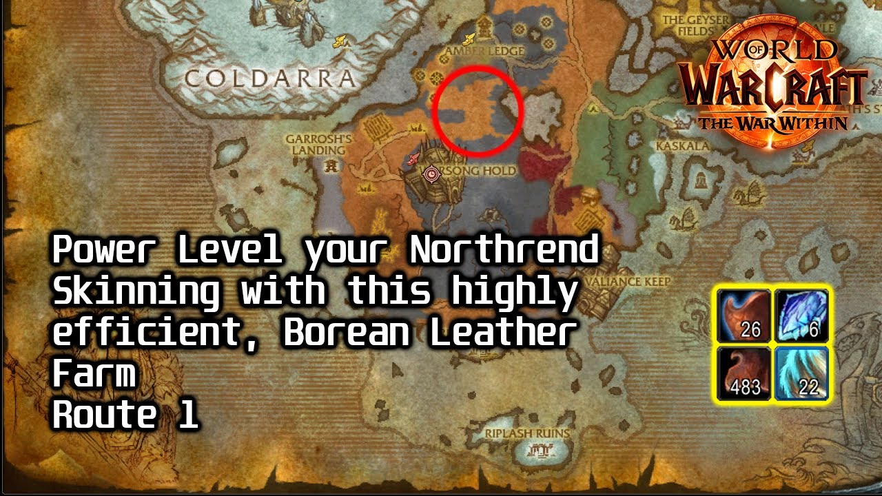 WoW retail - The most efficient Northrend-Skinning. Borean Leather farm.