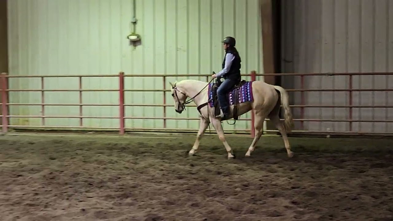 Nicki Pitts riding Steel Saffron. Green rider/Green horse W/T ranch pleasure. Lets get ranchy