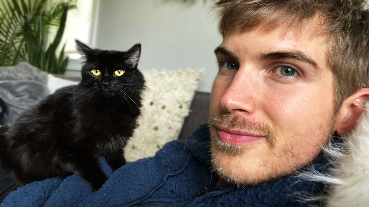 Meet My New Pregnant Cat