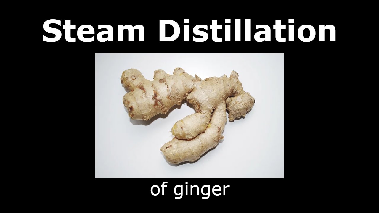 Steam distillation of ginger