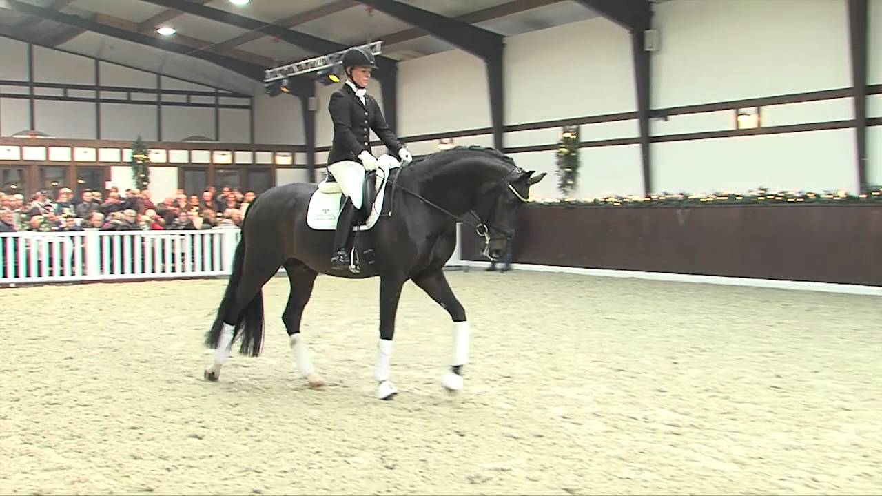 Dressurleistungszentrum Lodbergen For Romance 2016