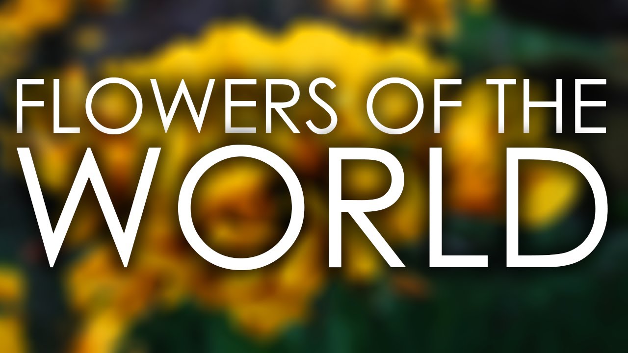 Flowers Of The World | Exploramum