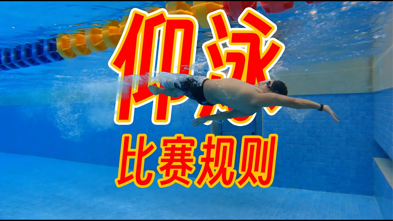 【游泳竞赛规则】6.仰泳比赛规则努力讲解，有大佬还请指点