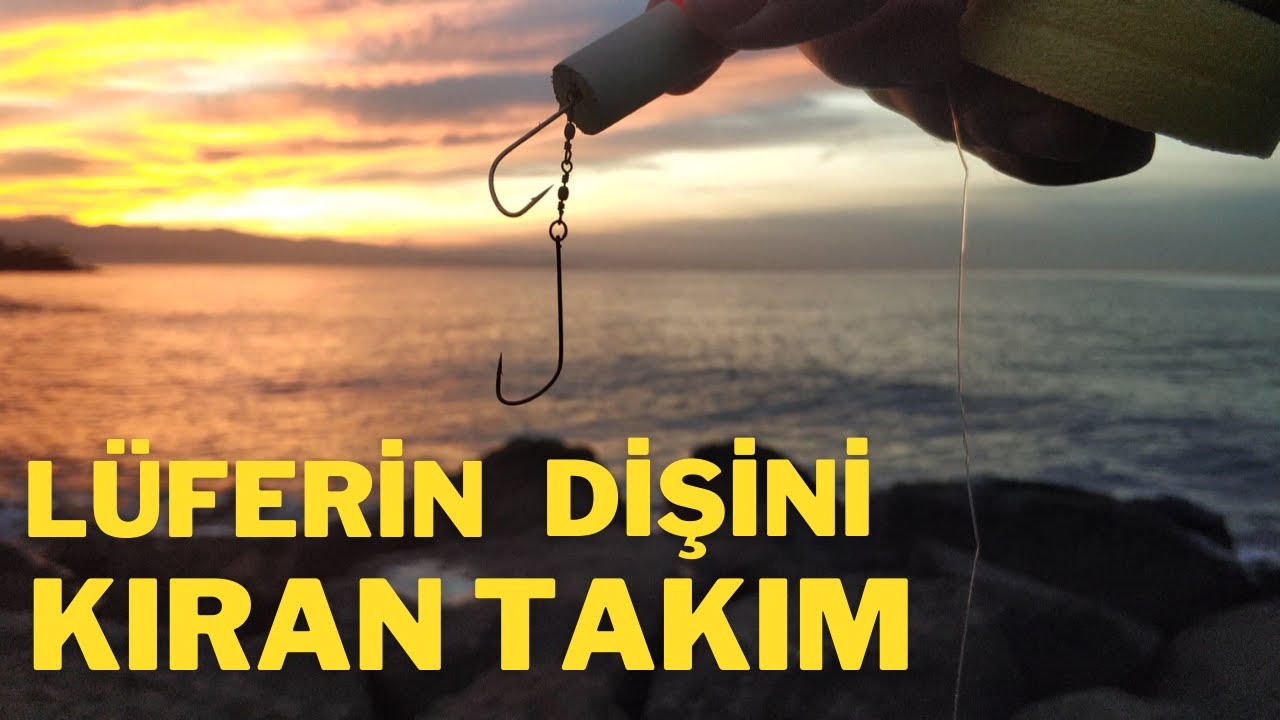 Zincirli Çinekop Takımı. Kıyıdan çinekop avı