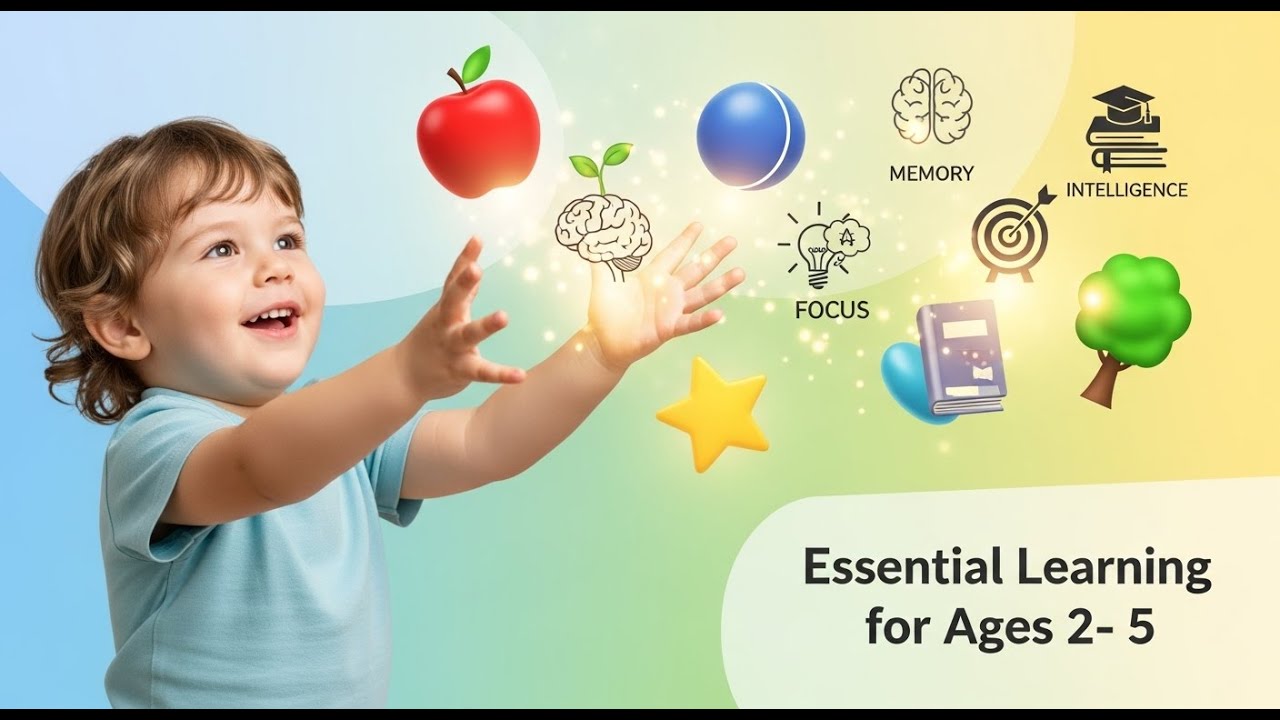 Object Learning for Toddlers 🌱 | Early Brain Development