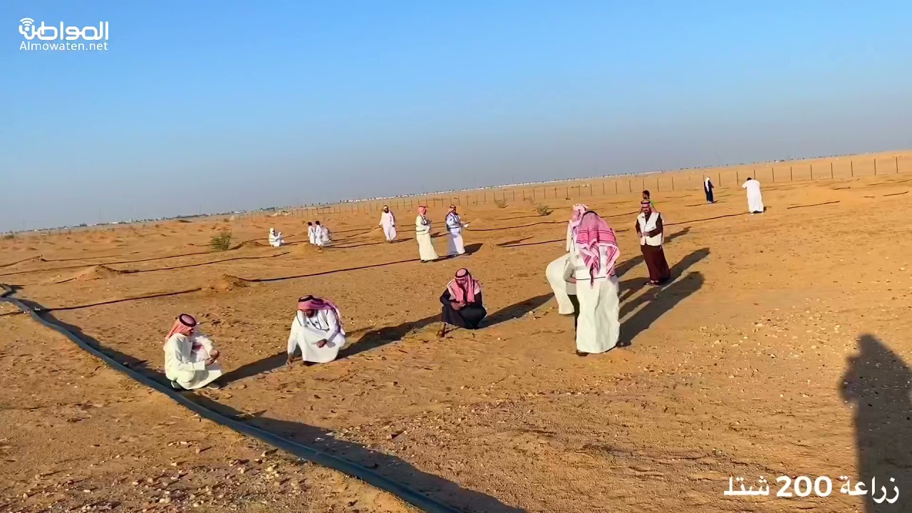 زراعة 200 شتلة في مسيج فليج بحفر الباطن