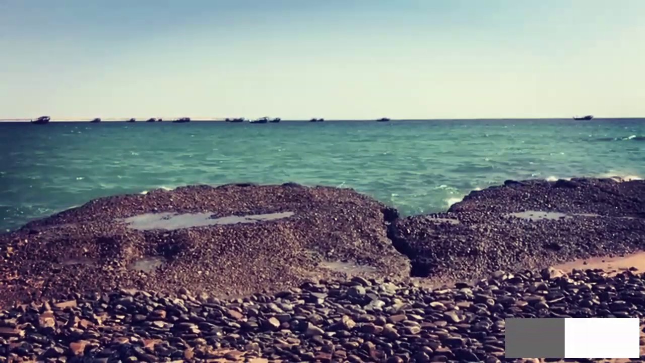 رحلتنا في منتزه الرويس