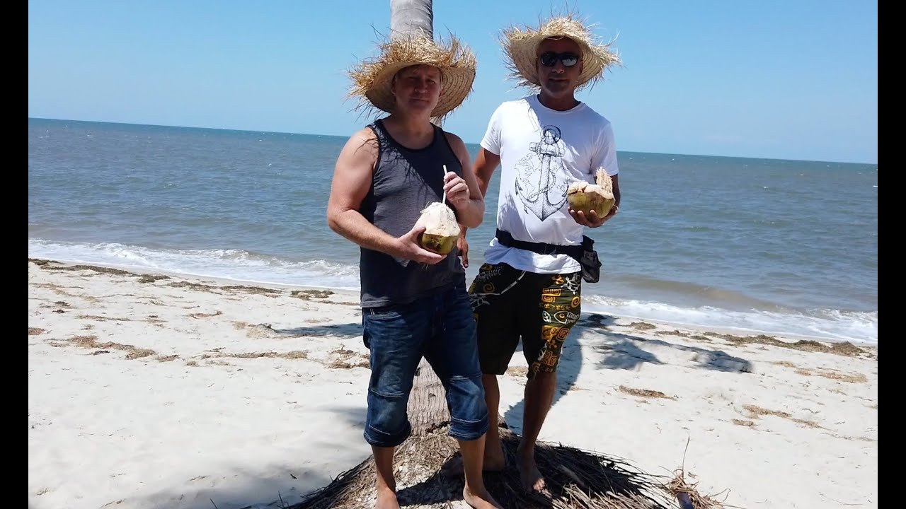 How to get a Coconut #schuettisunterwegs