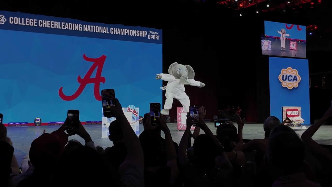 Национальные соревнования талисманов UCA 2025 — выдающееся выступление AL