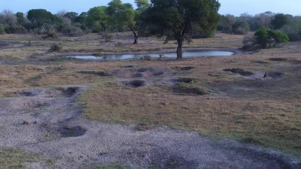 Tembe Elephant Park