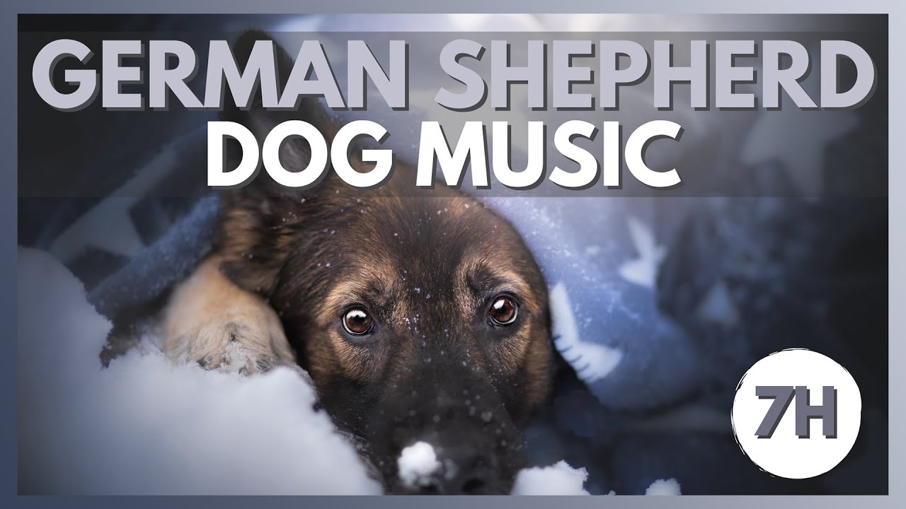Dog Music for German Shepherds! Calm and Relax your Dog! - Dog Radio