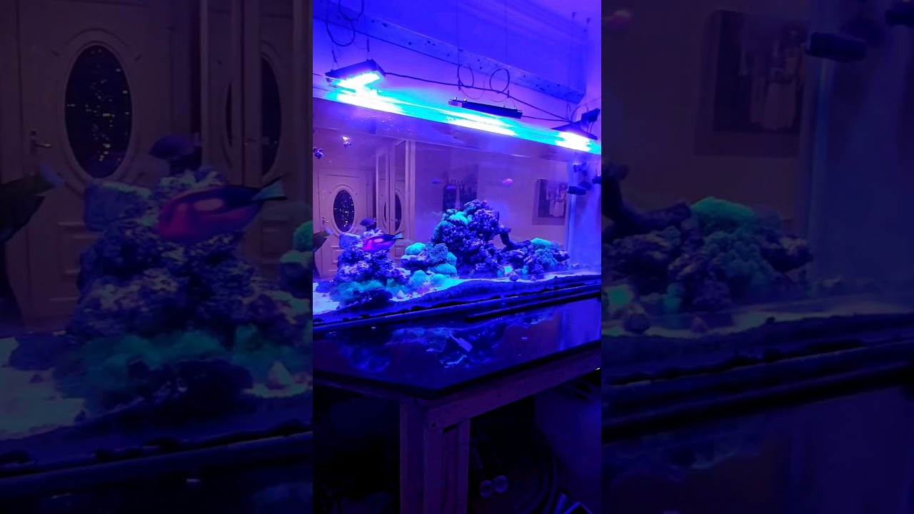 For a couple of hours yesterday we were on fire 🔥To be continued...