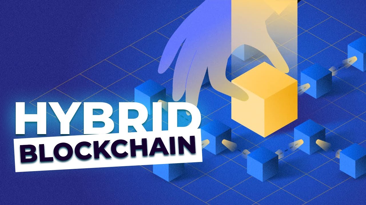 Centralized, Decentralized, and Hybrid Blockchain Explained: Which One Should You Choose?