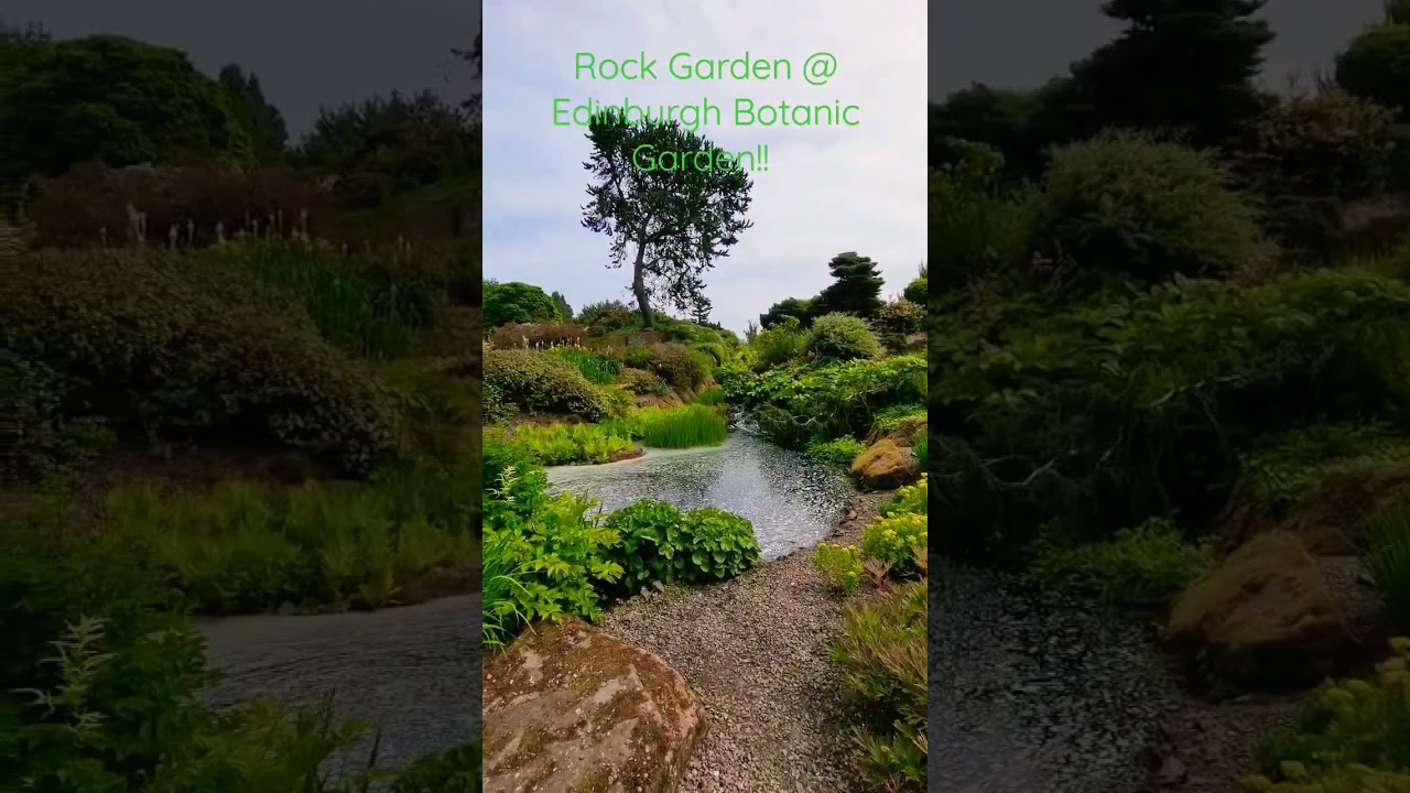 Rock Garden, @TheBotanics #botanicalgarden #flowers #amazing #beautiful