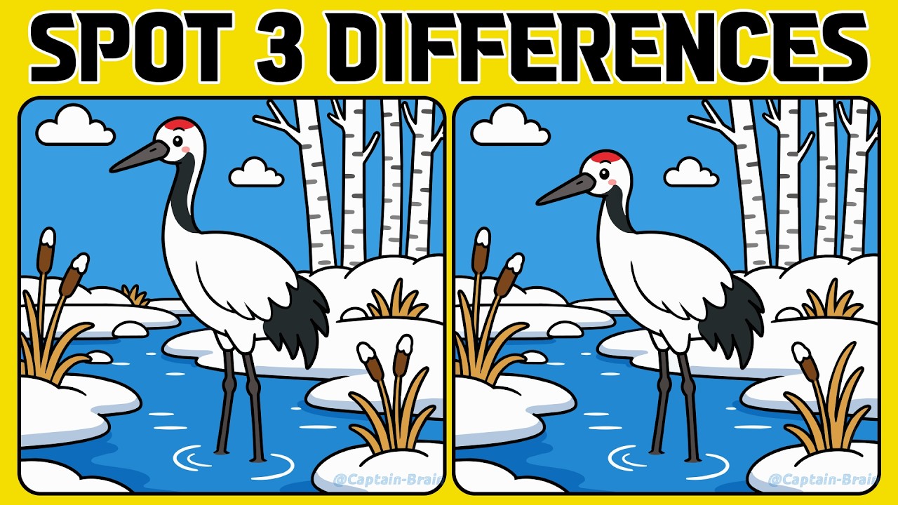 Spot the Difference: Can You Spot Them All? 🧠 (Normal)