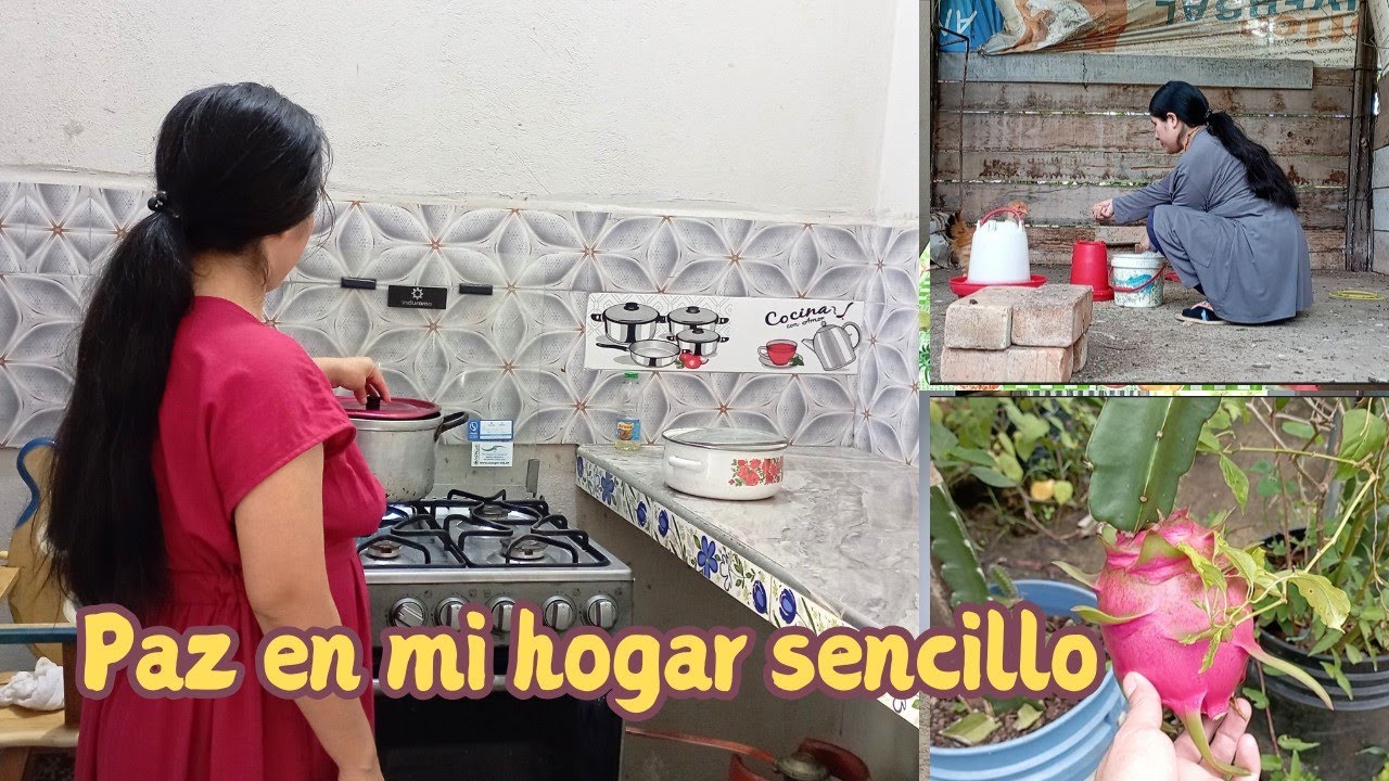 Una vida sencilla y calmada también puede ser gran Lujo | caldo de gallina 🐔 una vida sencilla ☘️