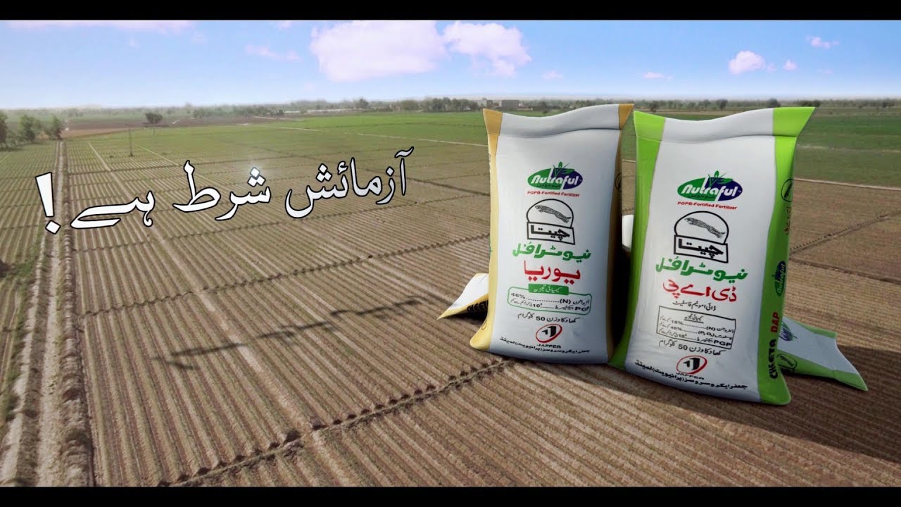Nutraful for Crops of Potato by Jaffer Agro Services