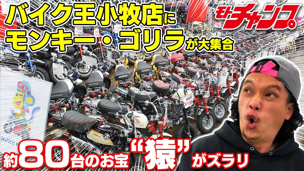 懐かしいモンキー・ゴリラが大集合！　バイク王小牧店に突撃！