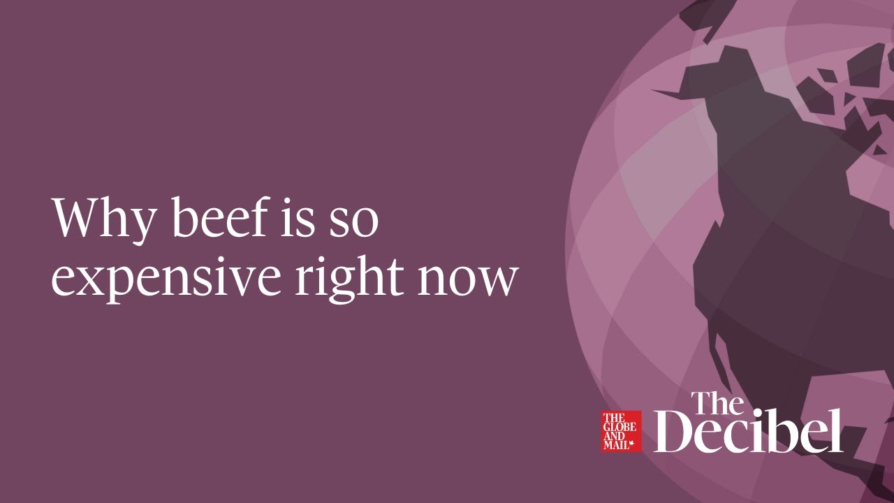 Why beef is so expensive right now
