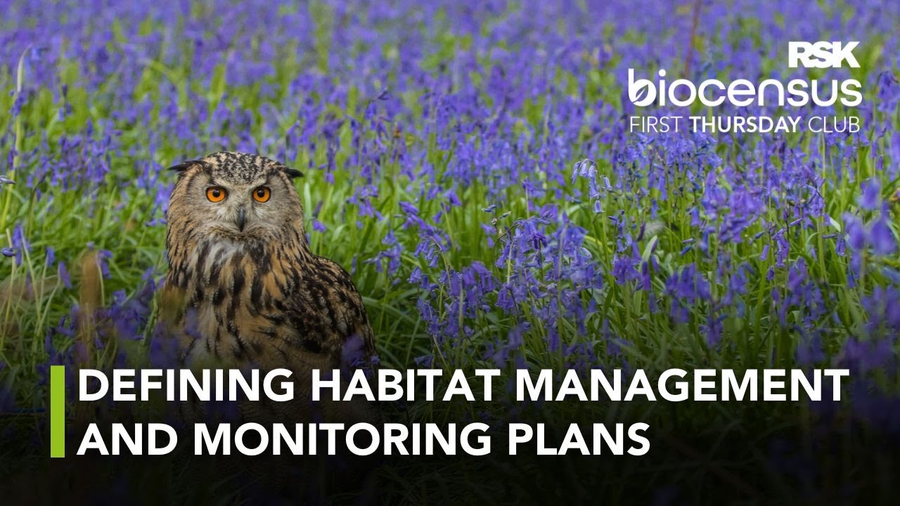 Habitat management and monitoring plans  – design, implementation and oversight