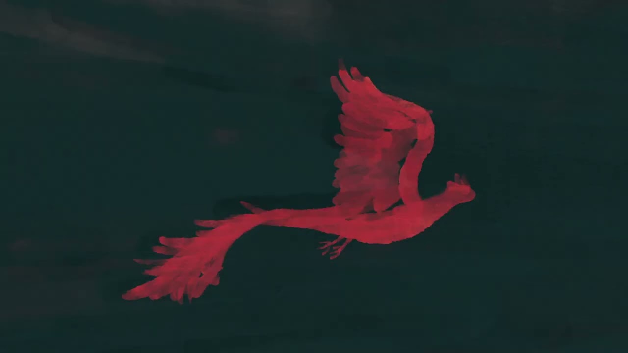 oda. - IDK (official video)
