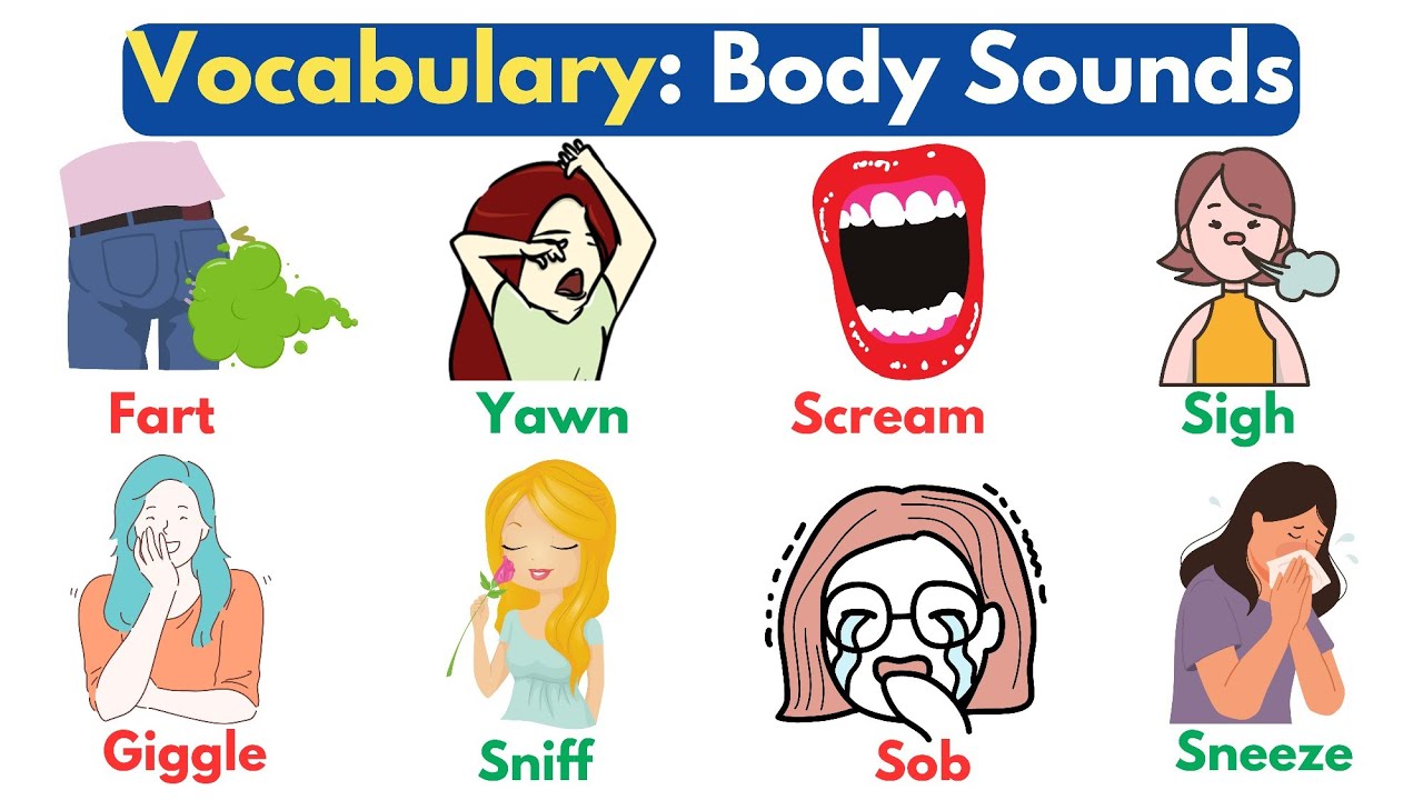 Vocabulary: Body Sounds | Vocabulary in English | Listen and Practice