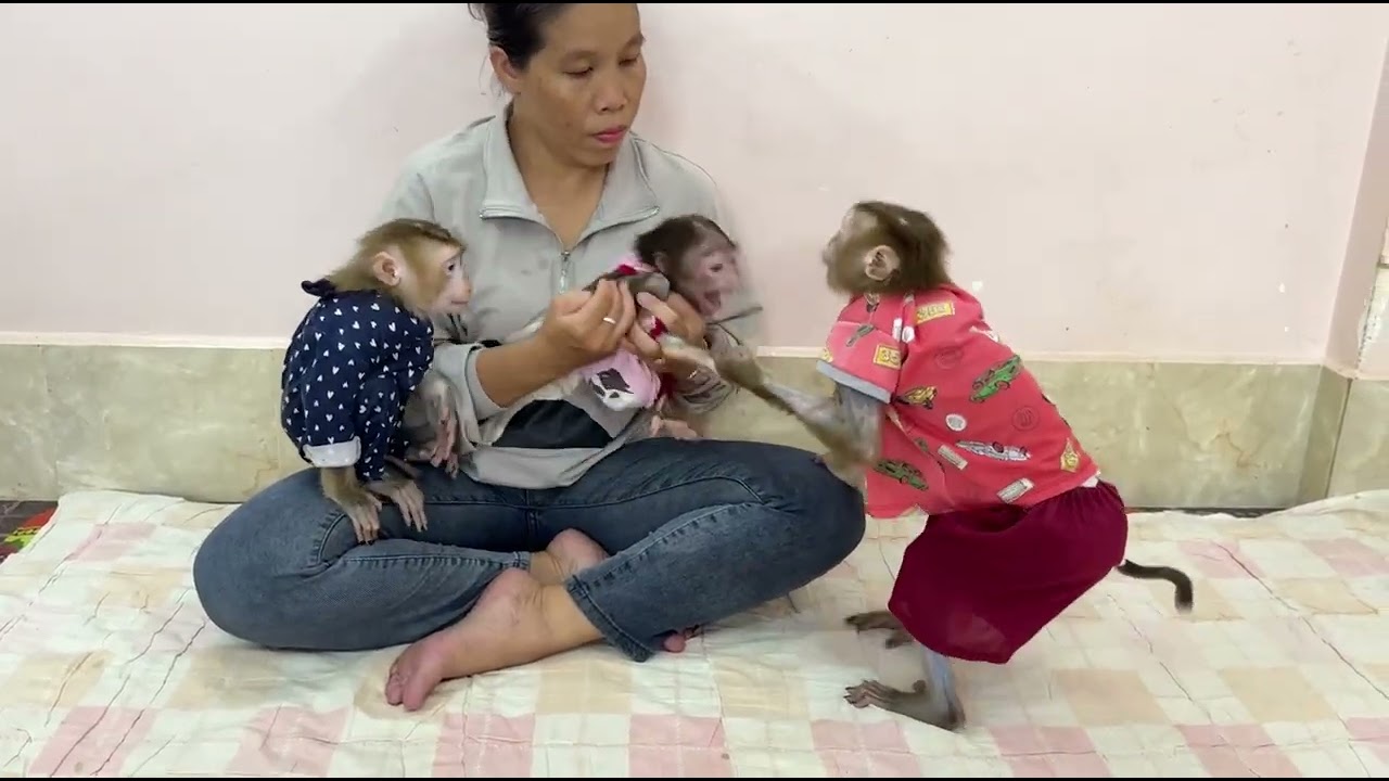 OMG!! Sister Sovanny Scream Loud Run Fast To Chase Sister Kobie Away From Mom Much Jealousy ,