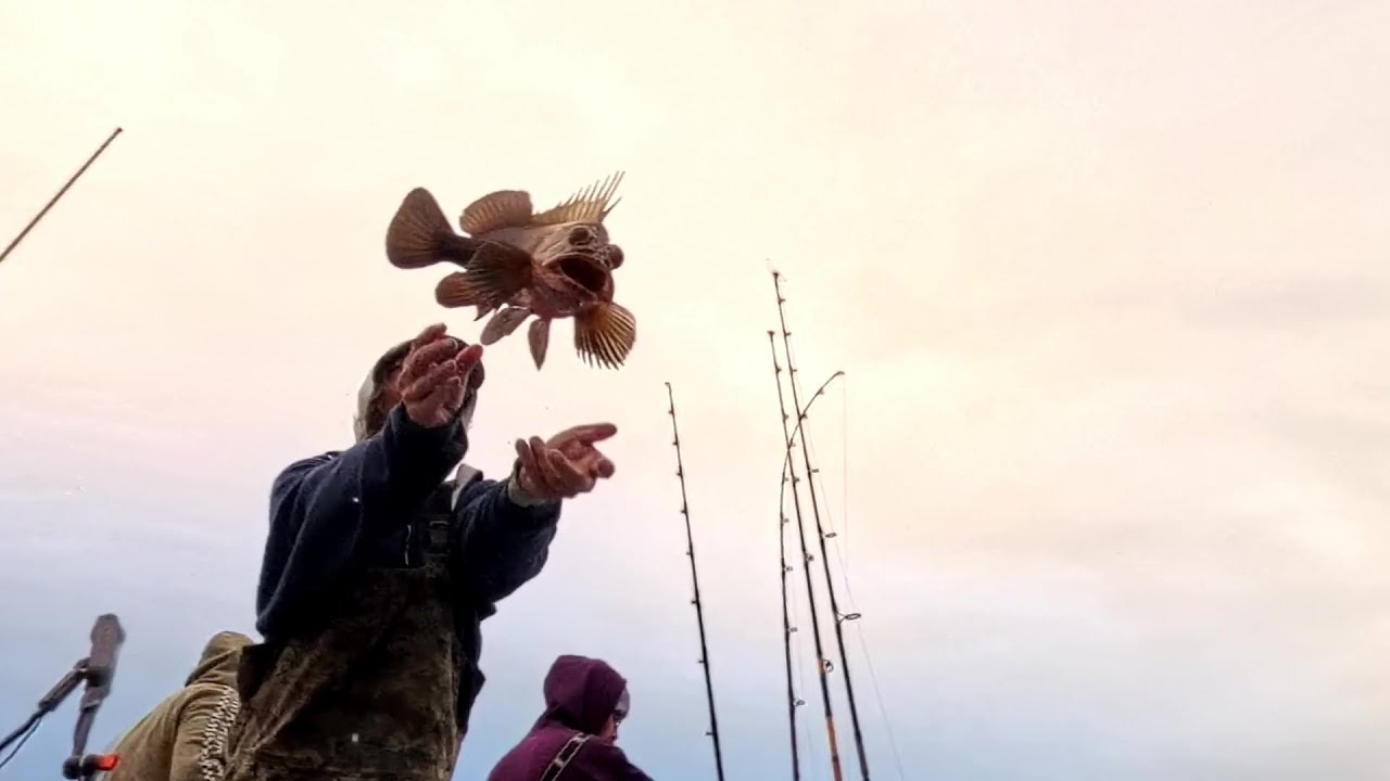 Рыбалка на рифах Орегона с приманками Дэна Money Jigs.🎣🔥💪