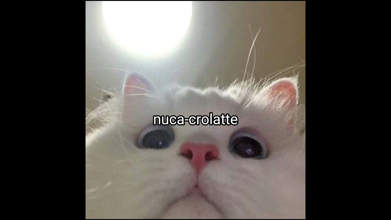 crolatte + sped up