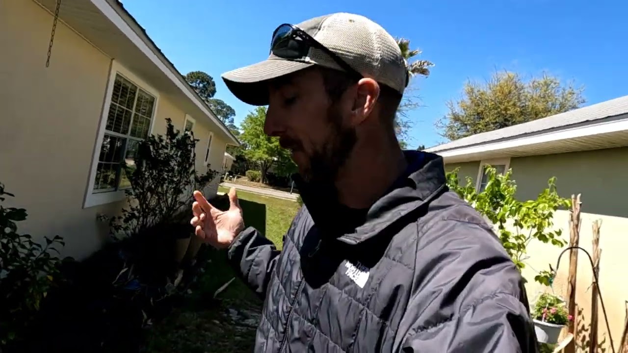 DIY Subterranean Termite Treatment