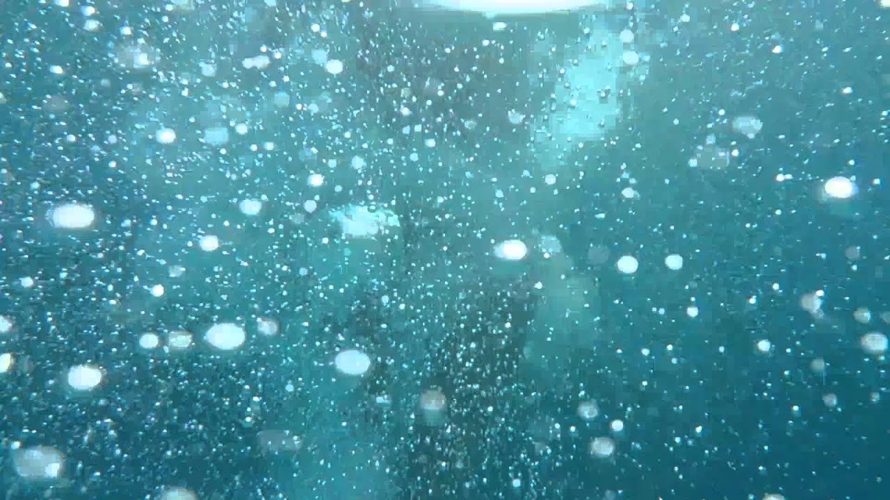 Chapuzon en la piscina!!!