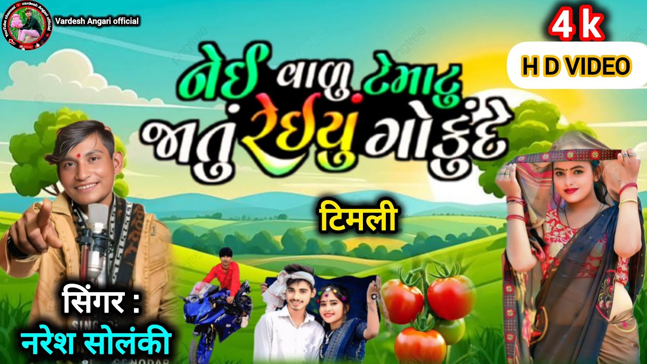 નઈ વાળું ટામેટું જાતું રેઈયુ ગોકુંદે //nai valu tametu jatu reiyu gokunde // singer. Naresh solanki 