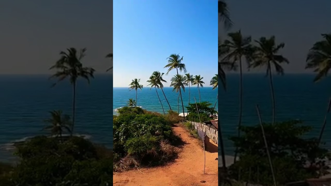 Titlie Goa Best Restaraunt Cafe Bar In North Goa #goa #northgoa #shorts #youtubeshorts #vagatorbeach