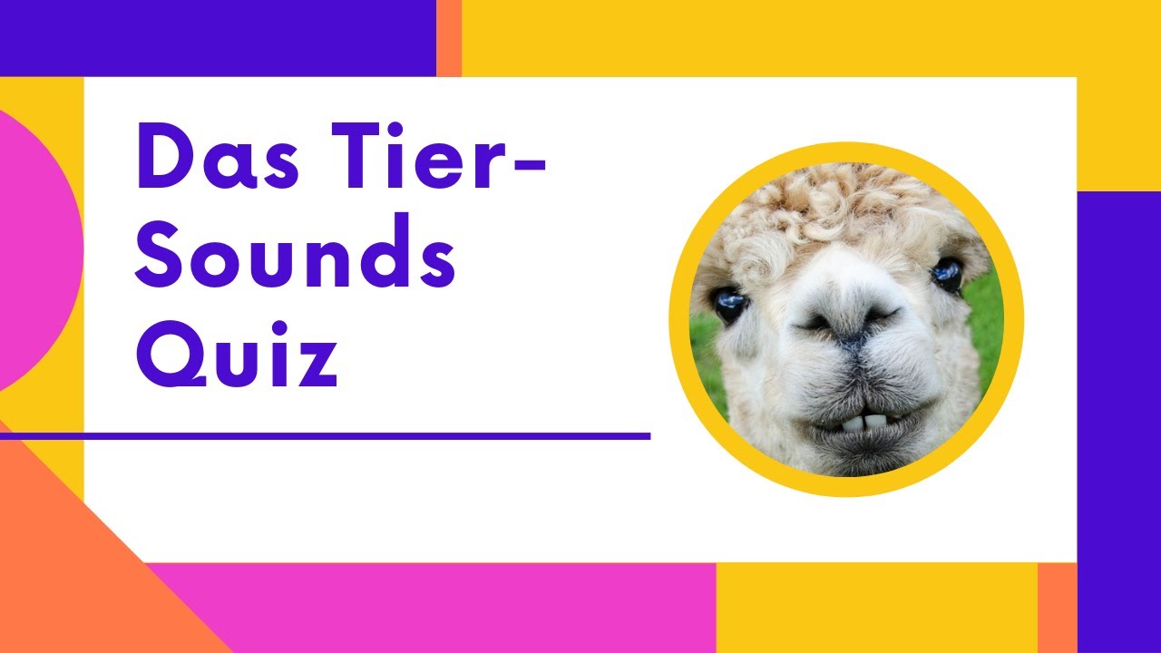 Tier Geräusche Quiz - Tiere erraten für Kinder (Einfach)