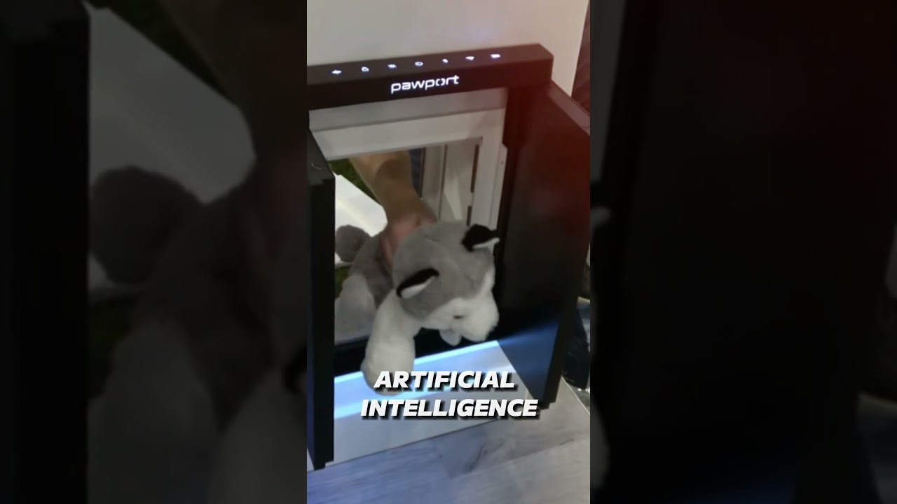 The Most Ridiculous Tech At CES 2024