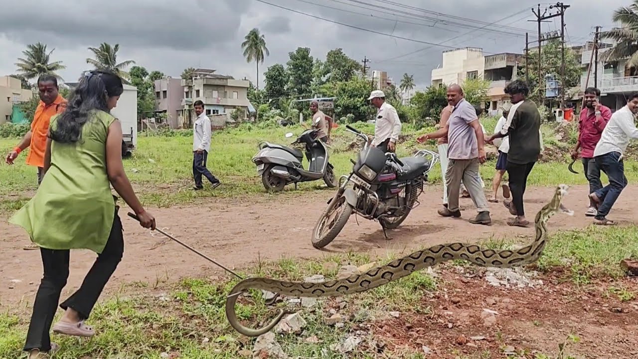 अंगावर धाऊन आला विषारी साप आणि लोक लागले पळायला उडाला गोंधळ🙆🏻‍♀️जीव धोक्यात घालून केला साप रेस्क्यू😱