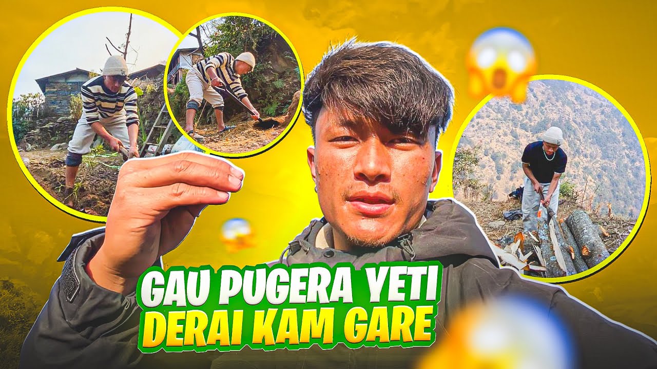 Gau Pugera Eati Derai Kam Gare 😤 // K K Gare Ta Full Video Herum 🥰 