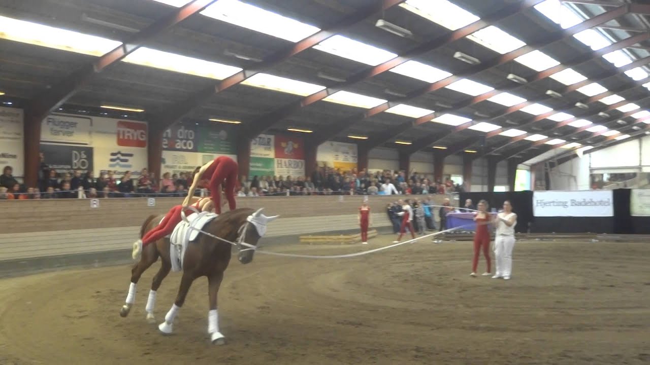 Team SVEA