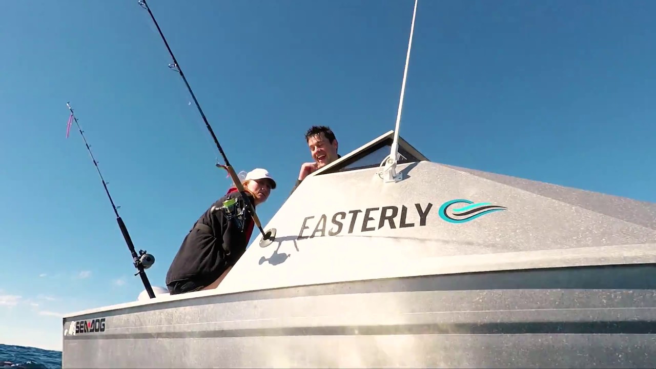 Krilling Trevally || Great Mercury Island