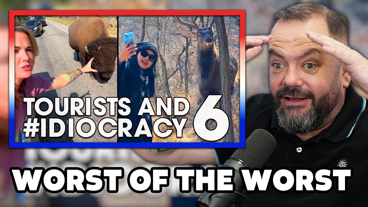 Tourists and #IDIOCRACY 6 REACTION | OFFICE BLOKES REACT!!
