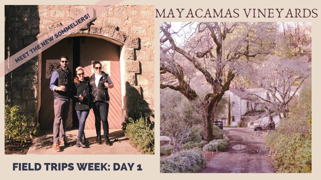 Field Trips Week DAY 1:  MAYACAMAS VINEYARDS & Meet the NEW SOMMS!
