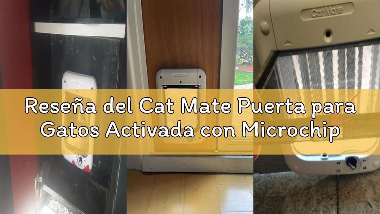 Reseña del Cat Mate Puerta para Gatos Activada con Microchip para Gatos y Perros Pequeños, Fácil Ins