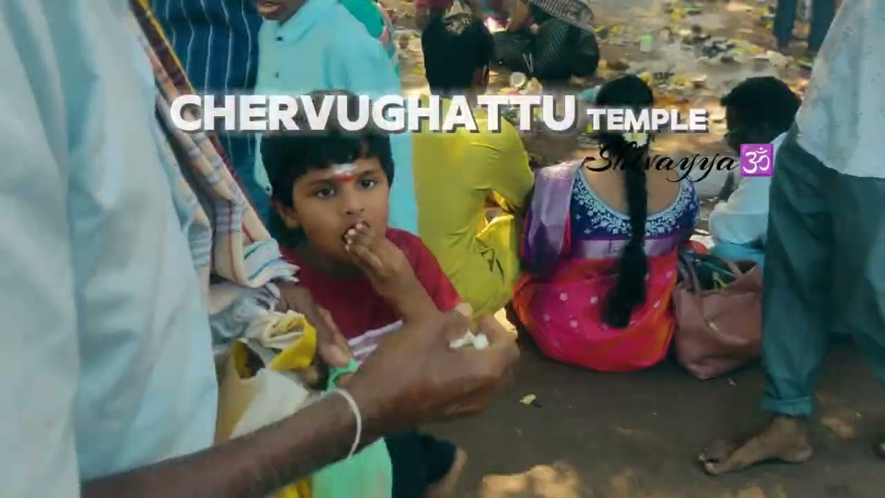 CHERVUGHATTU TEMPLE 📍🕉️ #new #newchannel #subscribemychannel #like #mahadev #shiv #telanganatemples 