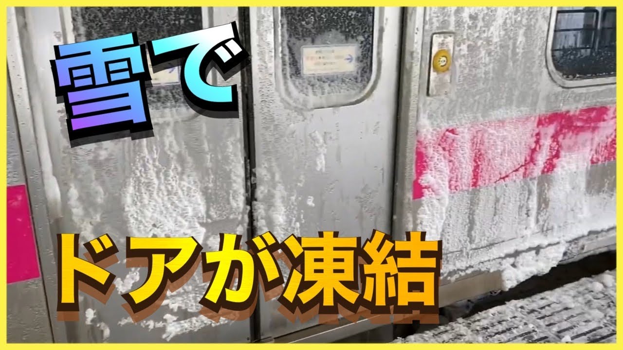【雪が戸袋に巻き込まれてる】豪雪地帯を走る奥羽本線の701系（数少ないセミクロスシート）