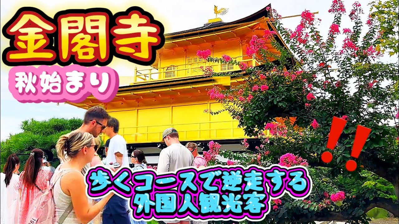 【金閣寺秋始まり】外国人観光客‼️歩くコース所逆走する⁉️Autumn Starts In Kinkakuji 『GOLDEN PAVILION 』 9.3.2025 