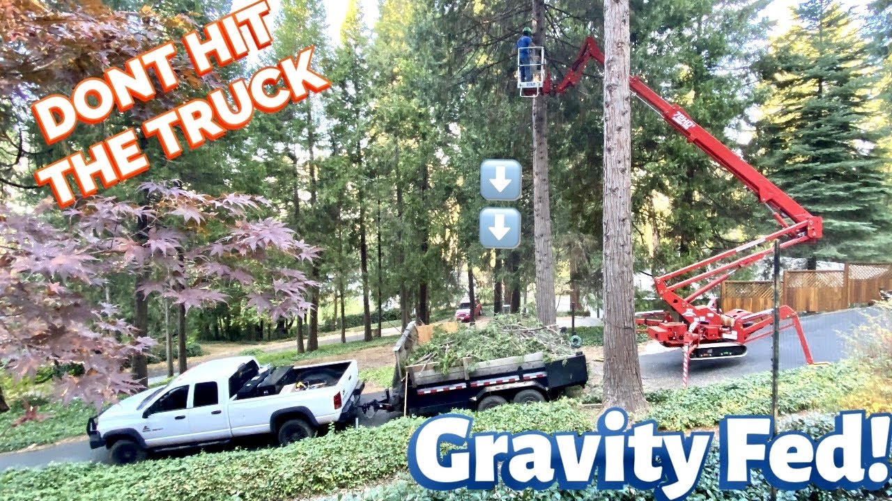 Day of tree work.. broken track lift!!😡