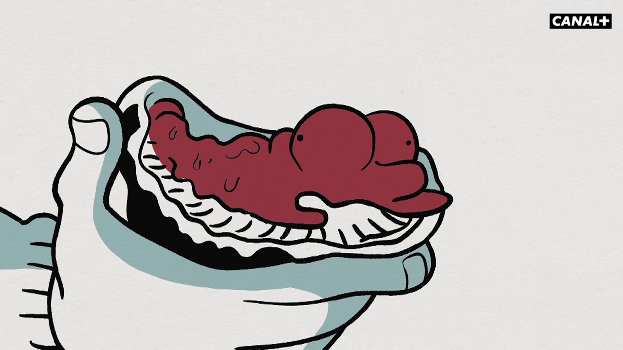 LES CAHIERS D'ESTHER - Episode 41 : Le goût de la mer