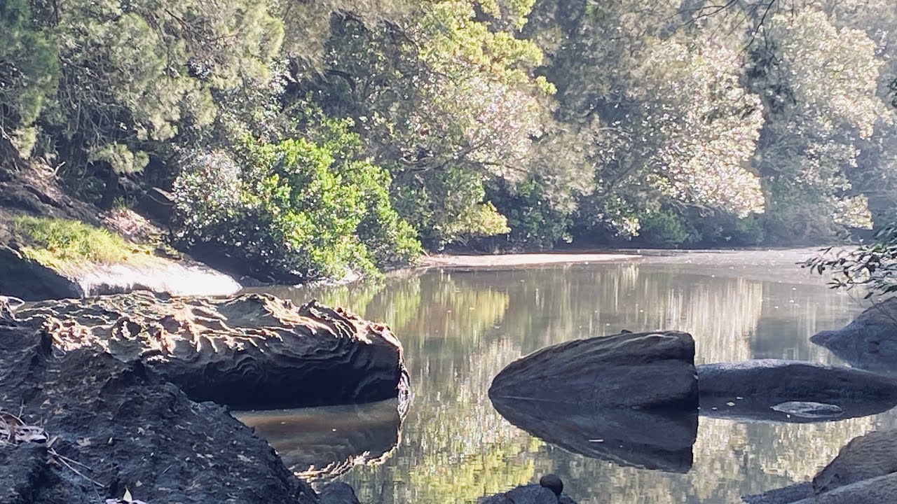 Exploring Sam&rsquo;s Creek Berowra (Solo hiking)