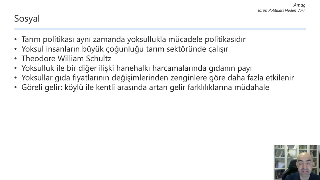 Sosyal